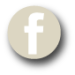 facebook-logo-manica-2